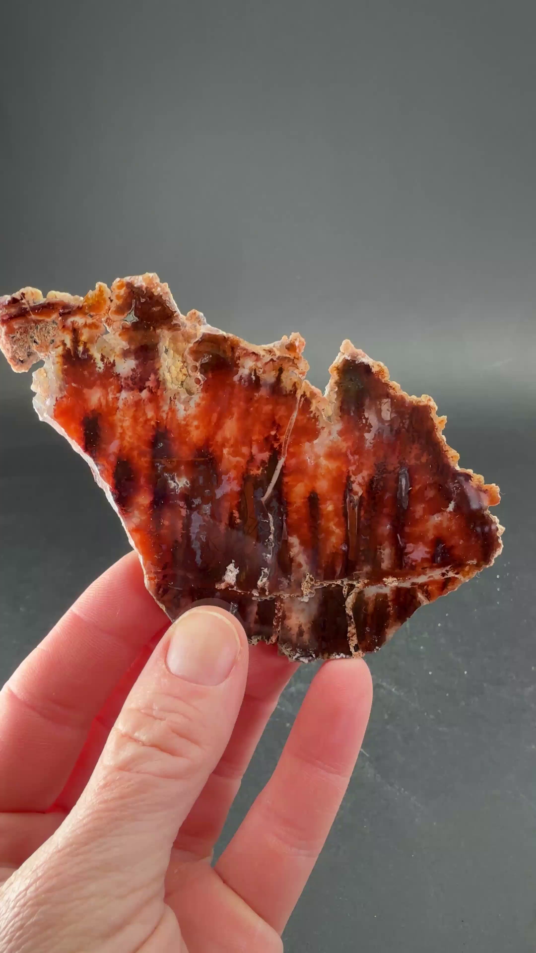 Sicat Agate Slab DS1095