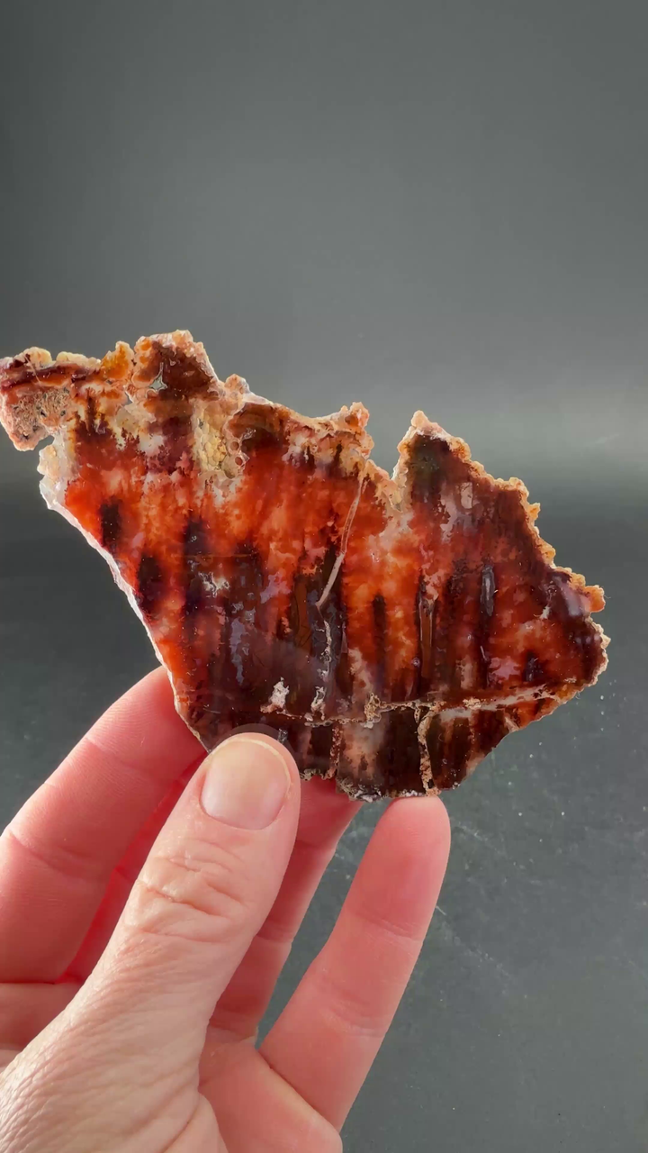 Sicat Agate Slab DS1095