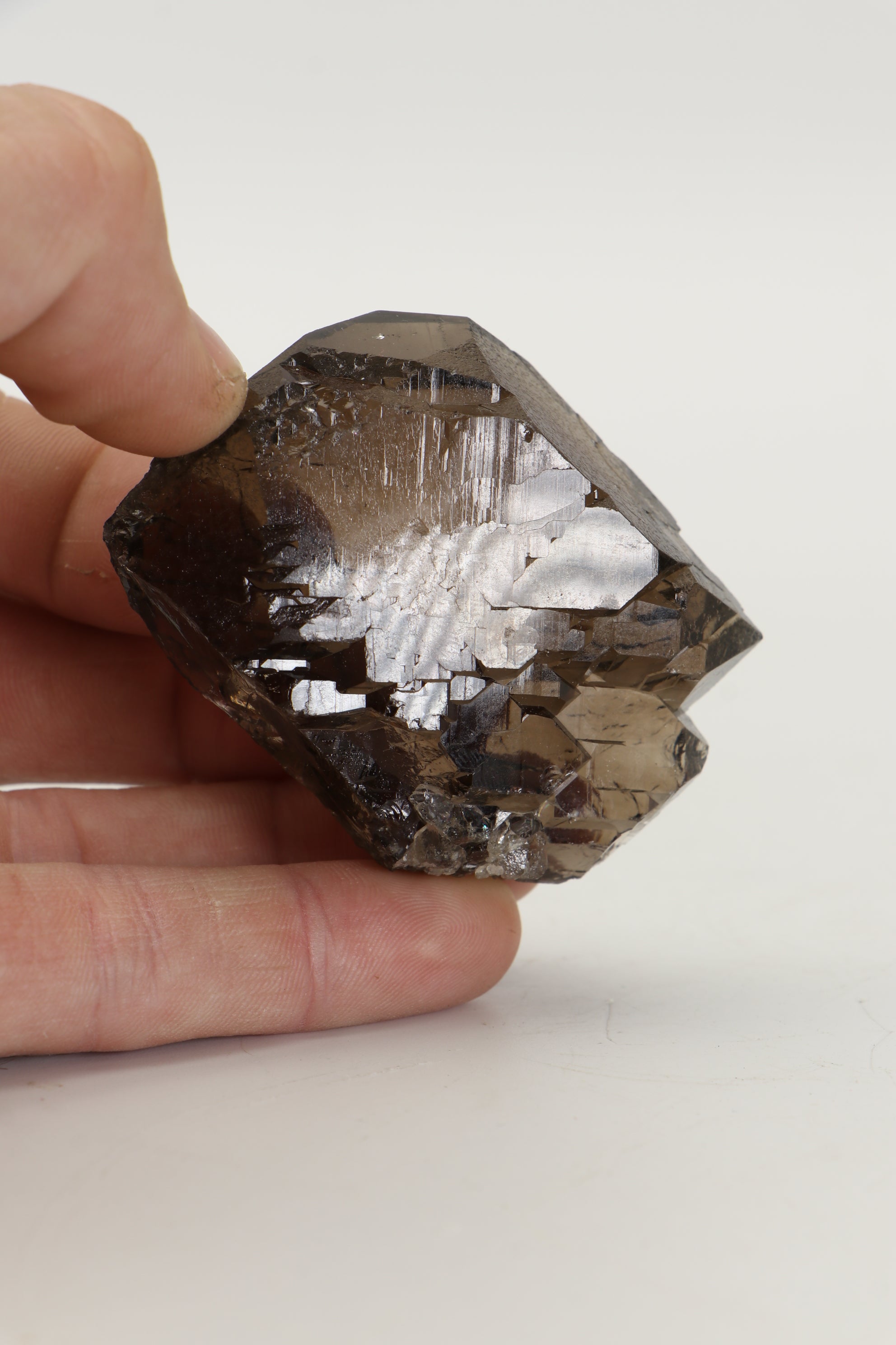 Smoky quartz. 239.4 ct. Mont Blanc Massif, top France.