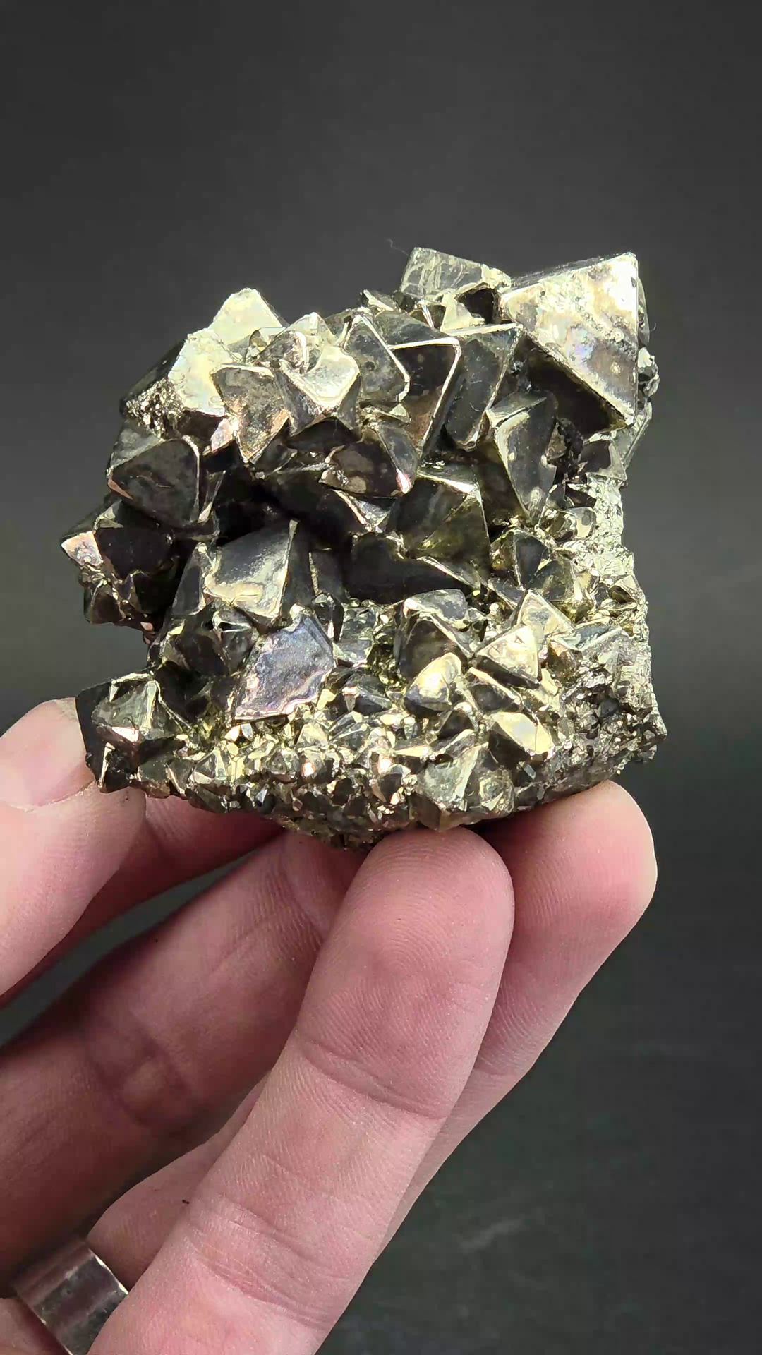 Peruvian Octahedral Pyrite Specimen DS1137