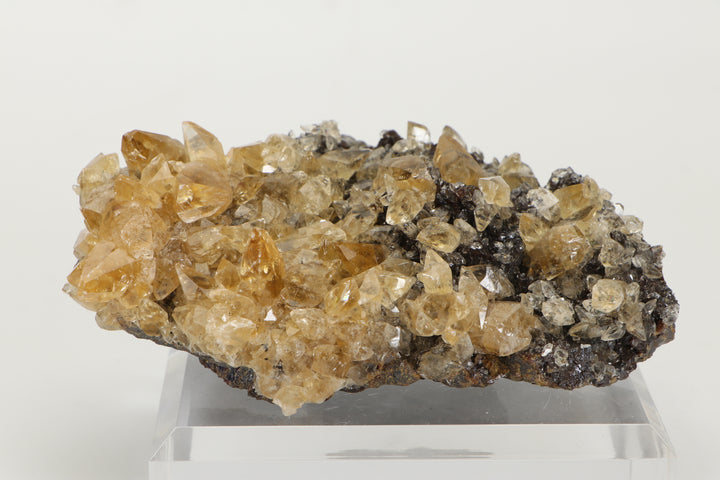 Calcite on Sphalerite - Elmwood Mine DS1419