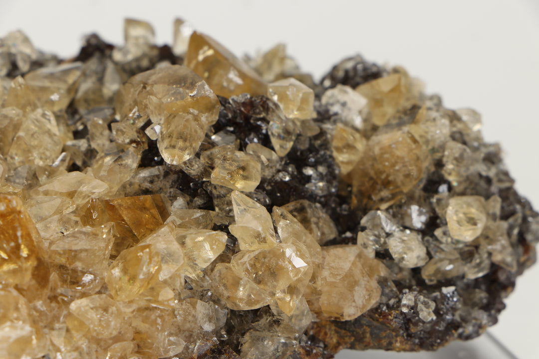 Calcite on Sphalerite - Elmwood Mine DS1419