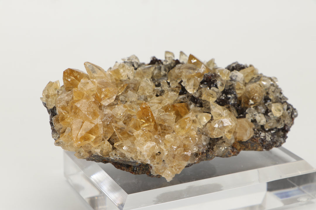 Calcite on Sphalerite - Elmwood Mine DS1419