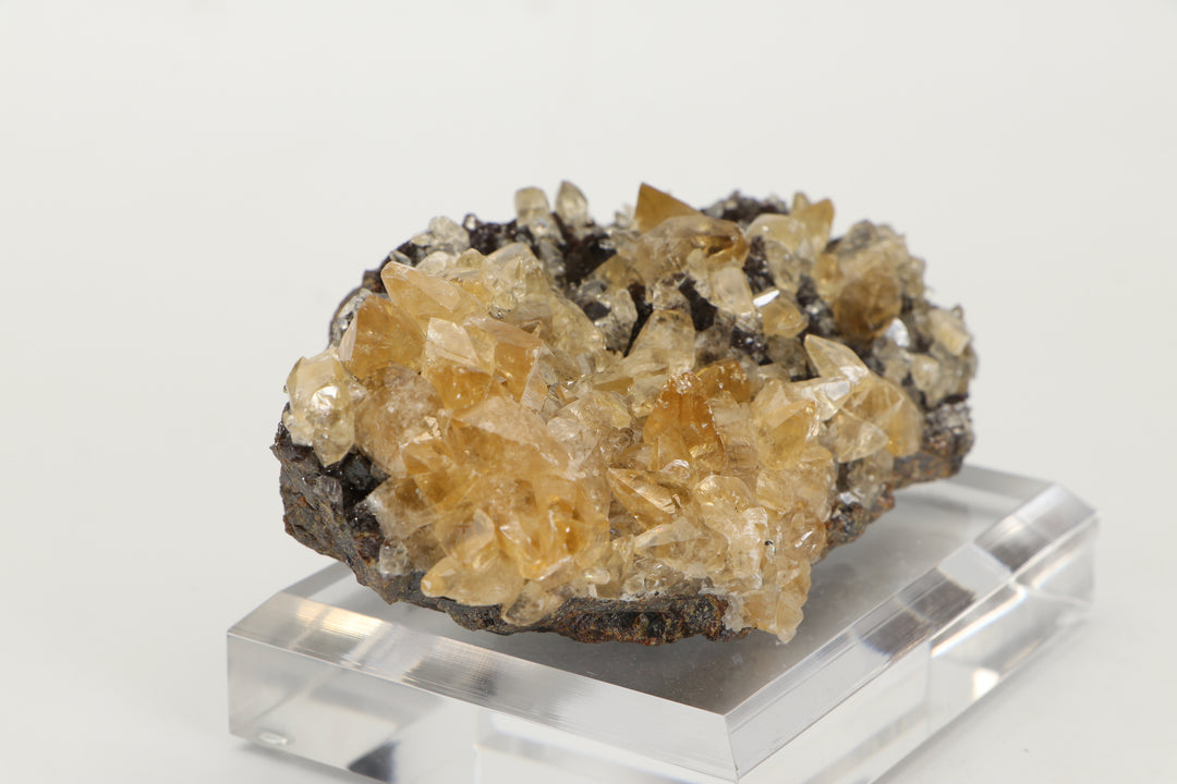 Calcite on Sphalerite - Elmwood Mine DS1419