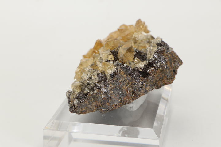 Calcite on Sphalerite - Elmwood Mine DS1419