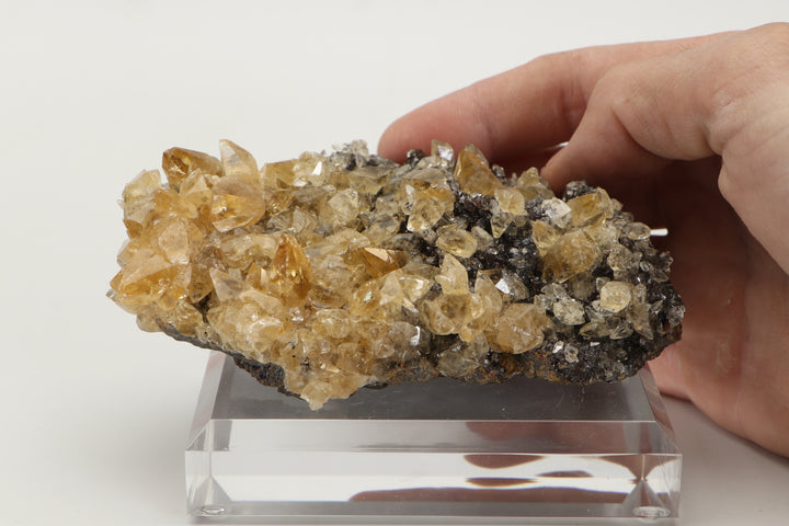 Calcite on Sphalerite - Elmwood Mine DS1419