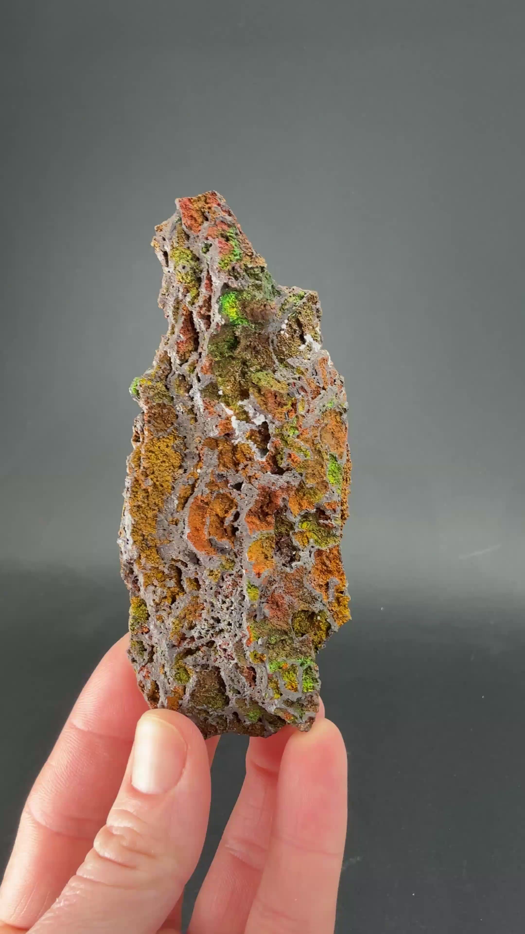 Iridescent Goethite (Turgite) from Mexico DS1443