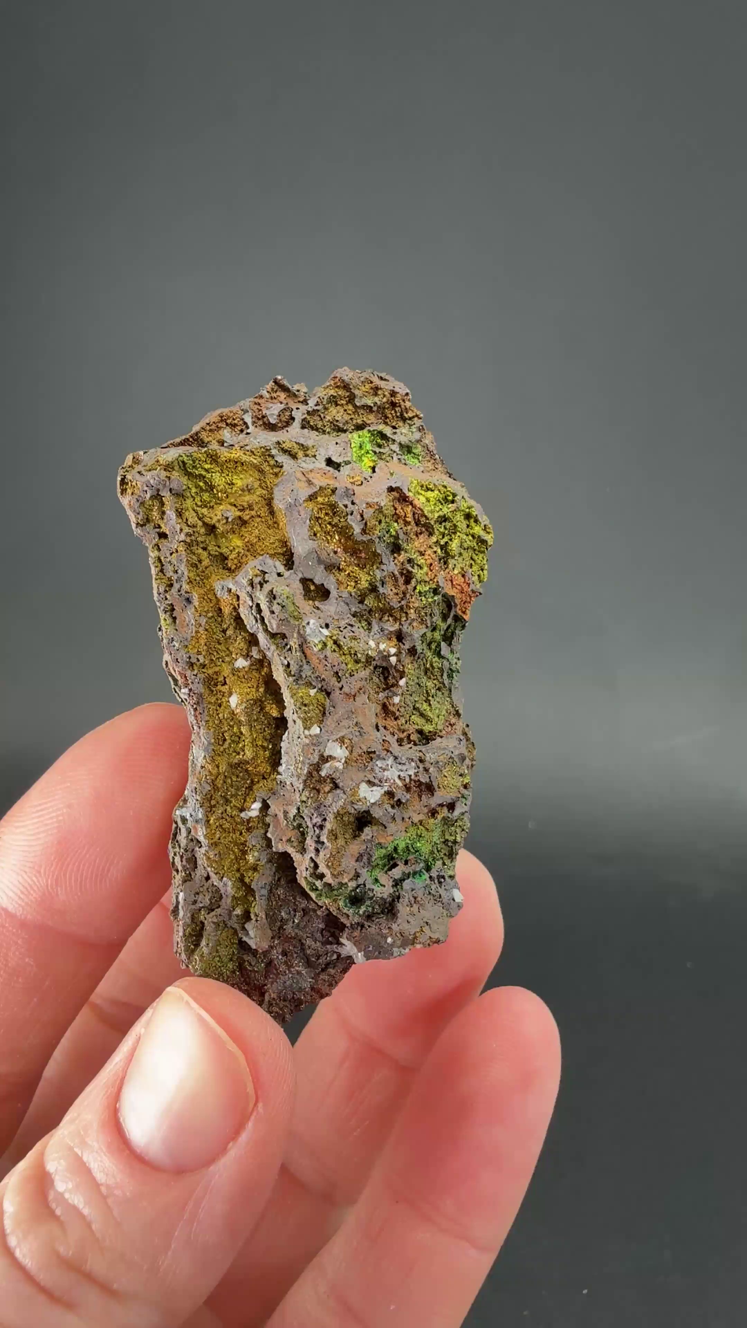 Iridescent Goethite (Turgite) from Mexico DS1446