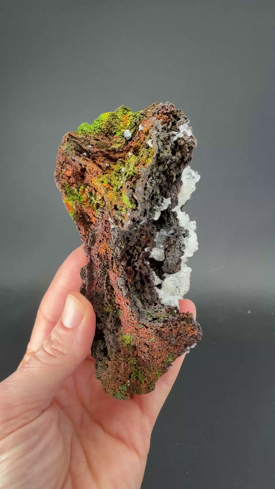 Iridescent Goethite (Turgite) from Mexico DS1449
