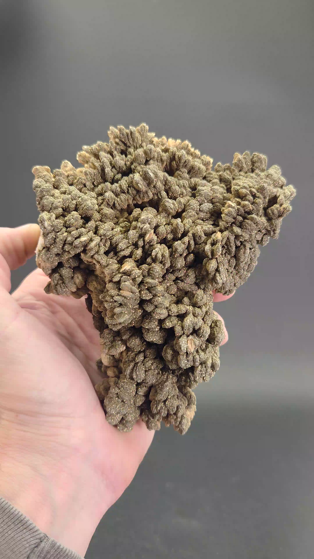 Barite with Pyrite Specimen from Poland DS1610