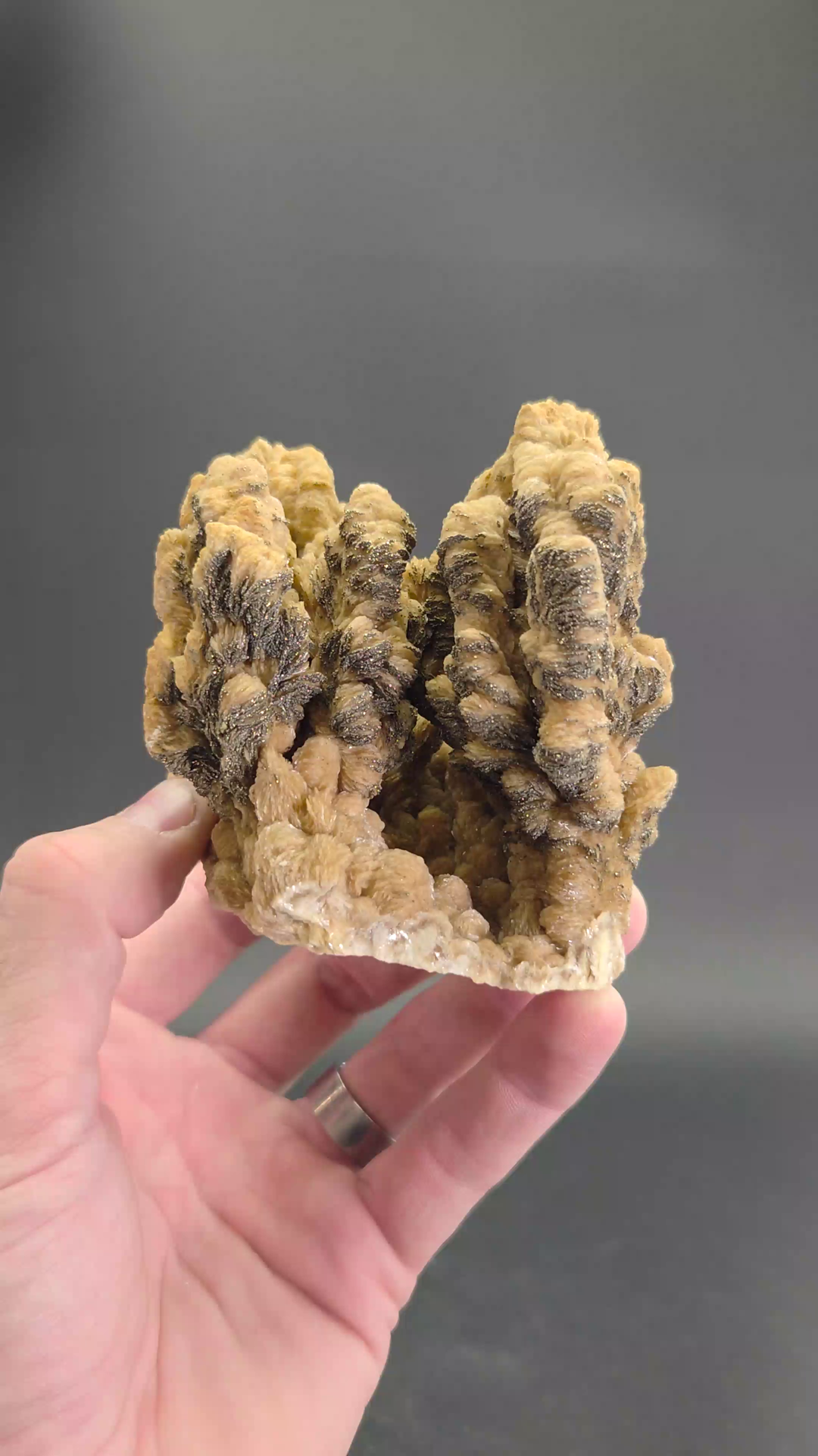 Barite with Pyrite Specimen from Poland DS1611