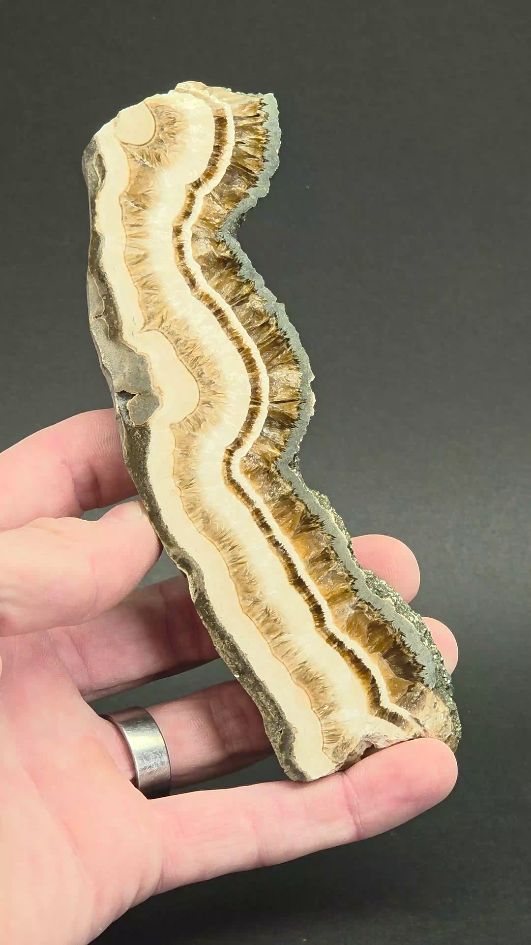 Polish Barite with Marcasite Slab DS1618