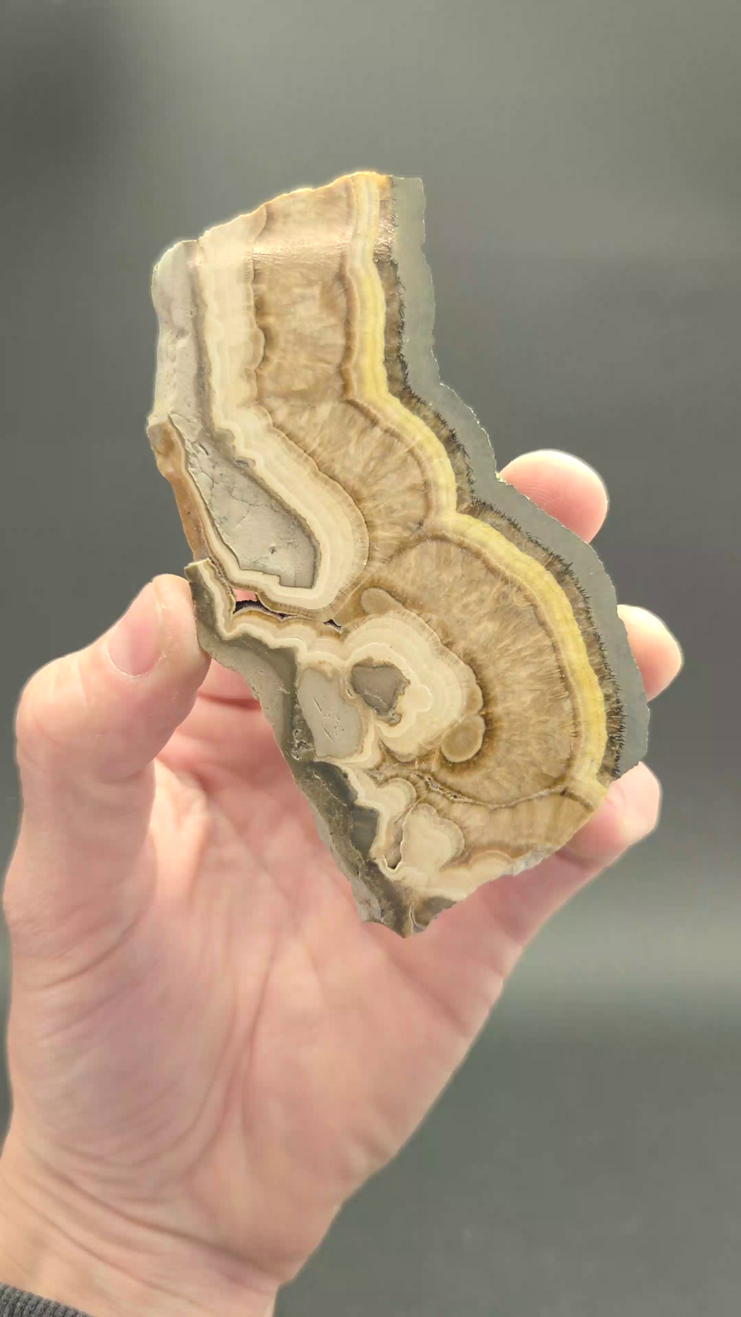 Polish Barite with Marcasite Slab