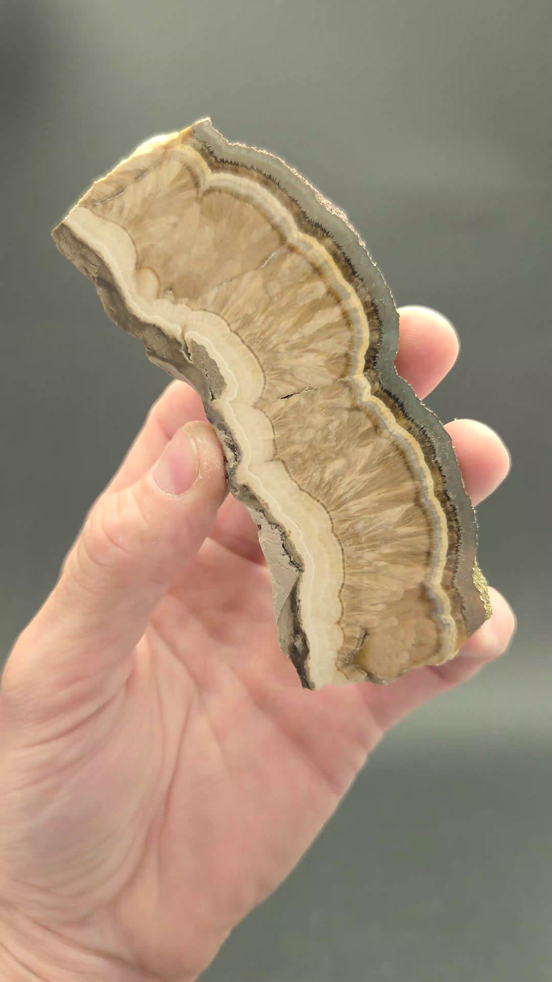 Polish Barite with Marcasite Slab