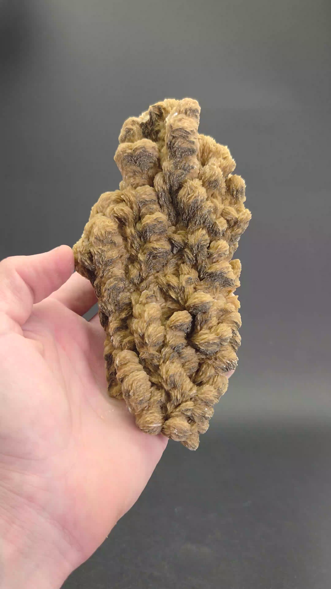 Barite with Pyrite Specimen from Poland DS1631