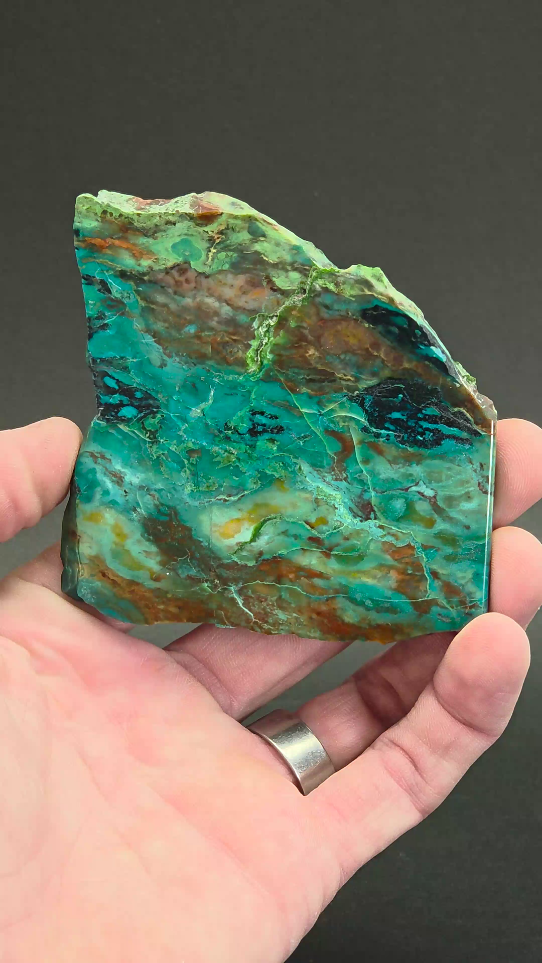 Parrot Wing Jasper Slab DS1858