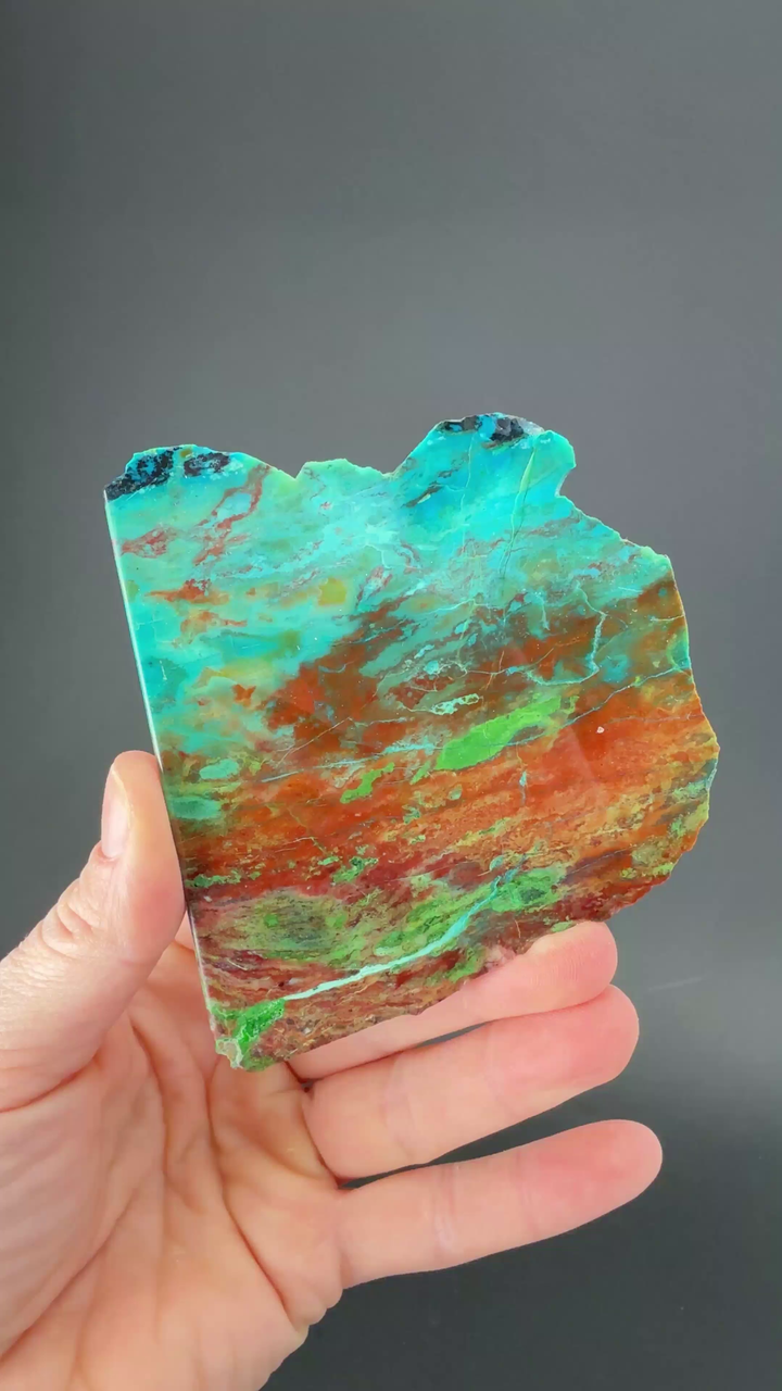 Parrot Wing Jasper Slab DS1859