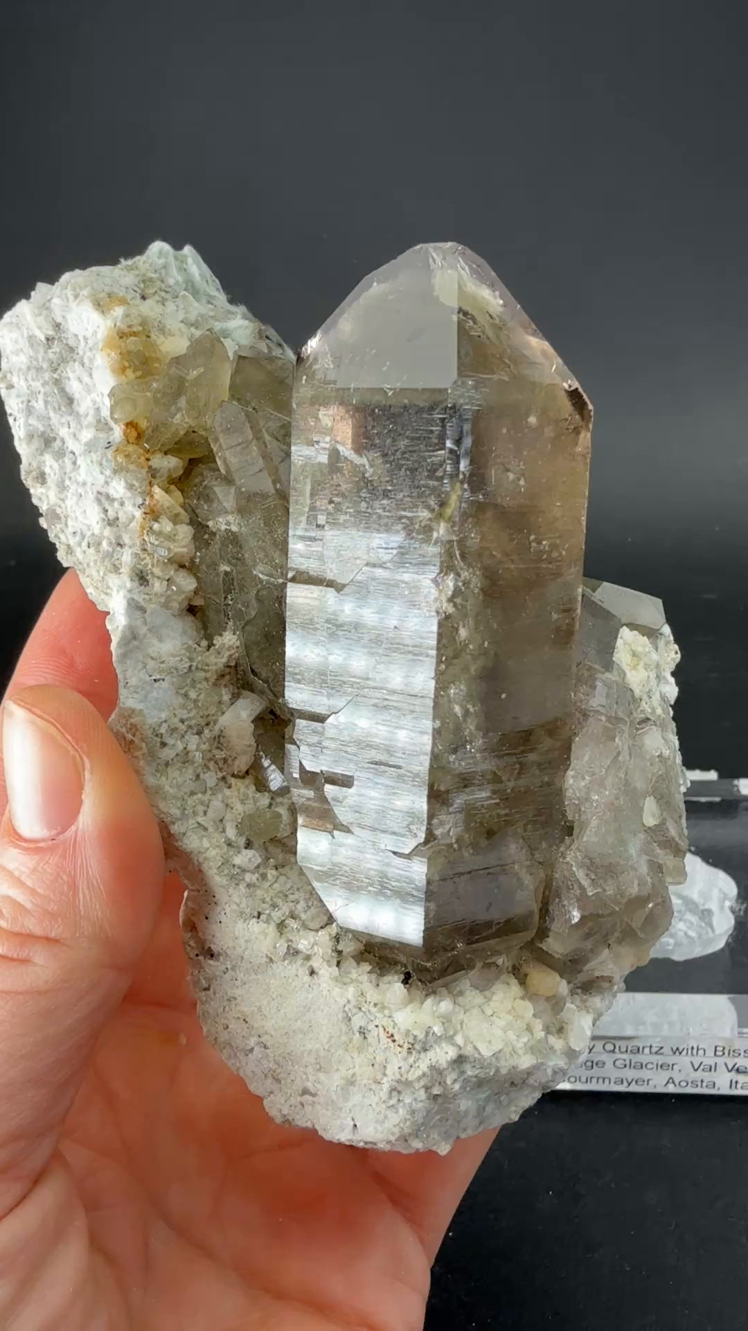 Smoky Quartz with Bissolite - Miage Glacier, Italy DS415
