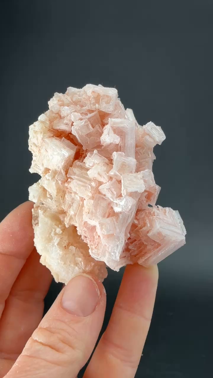Pink Halite on Trona