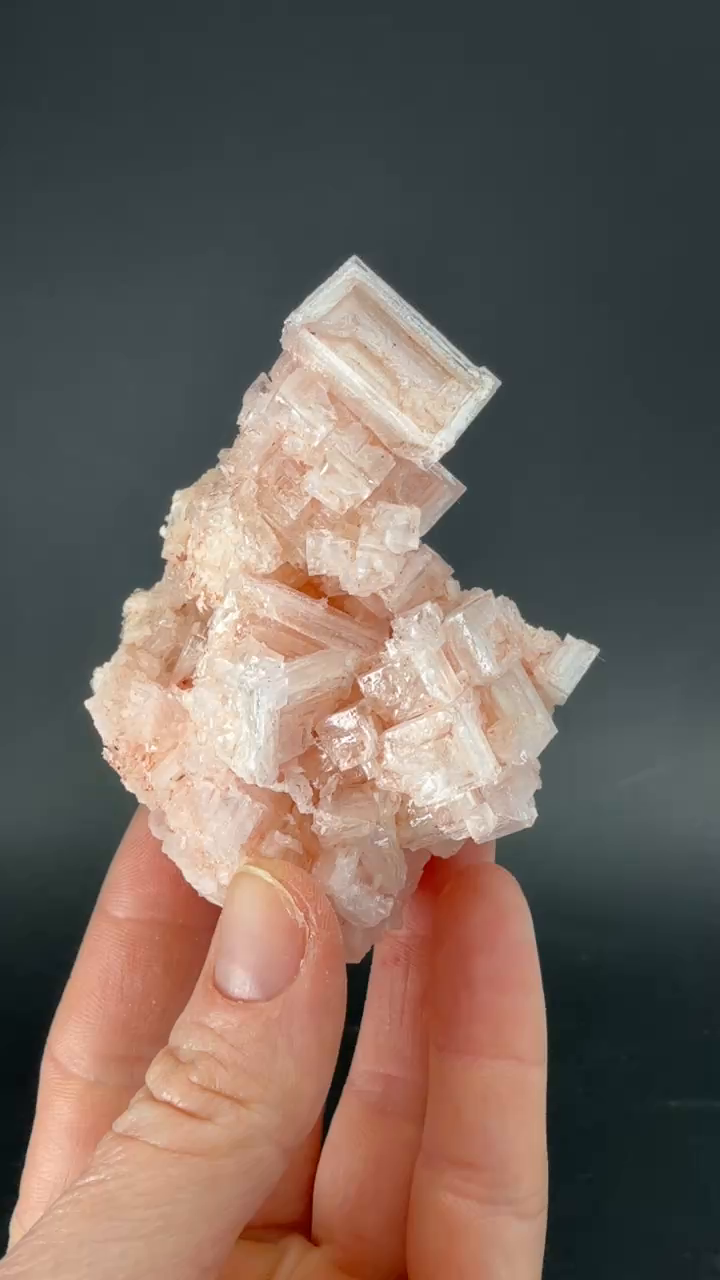 Pink Halite on Trona