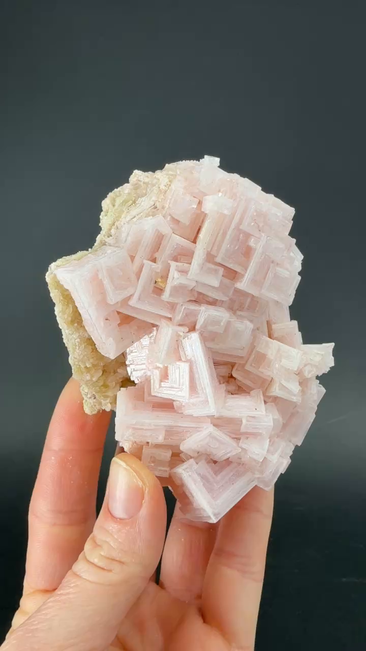 Pink Halite on Trona