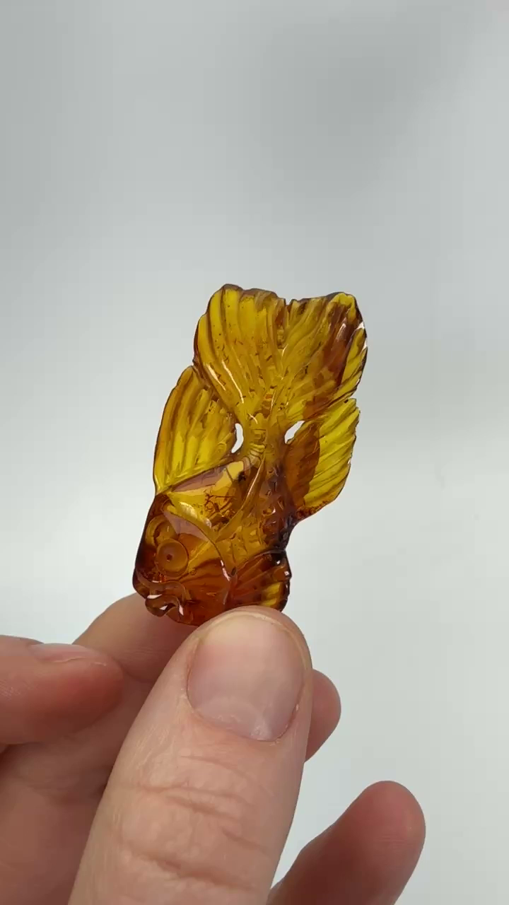 Baltic Amber Koi Fish Carving DS833