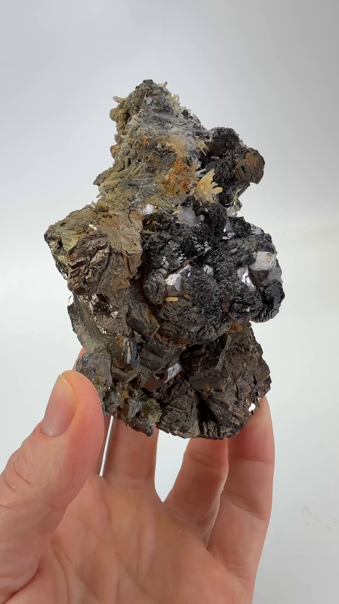 Sphalerite on Galena with Pyrrhotite from Dalnegorsk, Russia DX1133