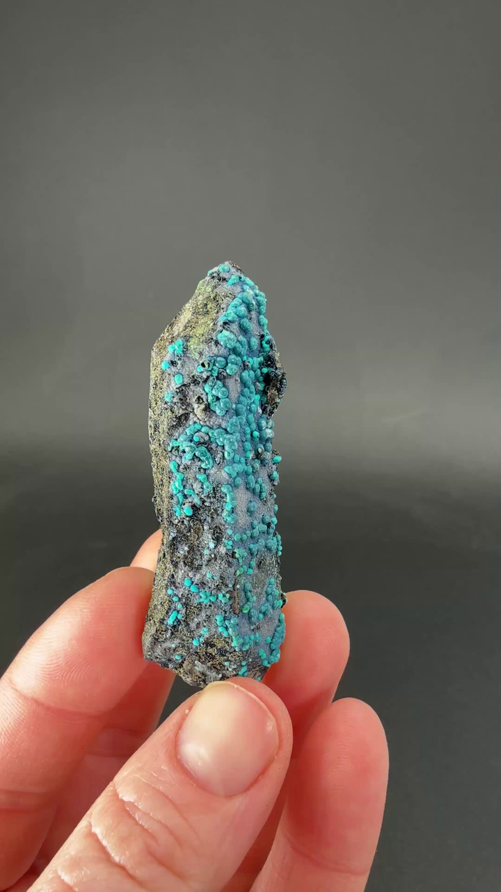 2.25" Quartz with Chrysocolla from Tentadora Mine DX1513