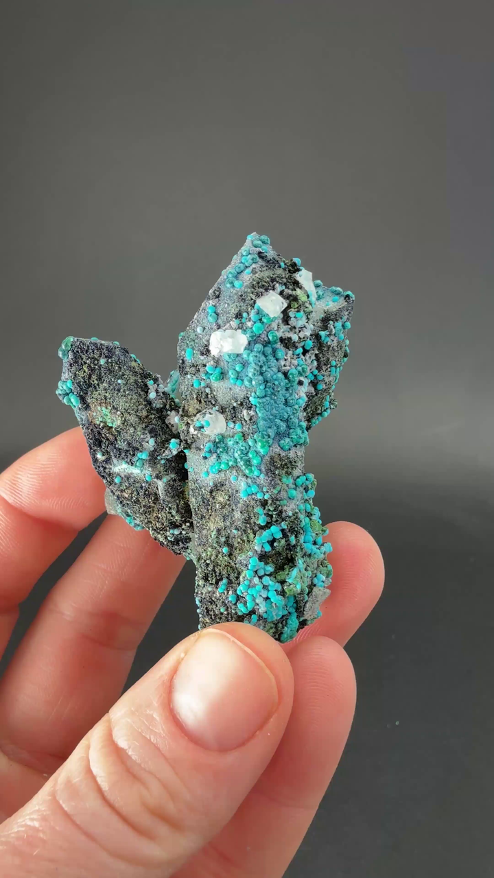 2" Quartz with Chrysocolla from Tentadora Mine DX1516