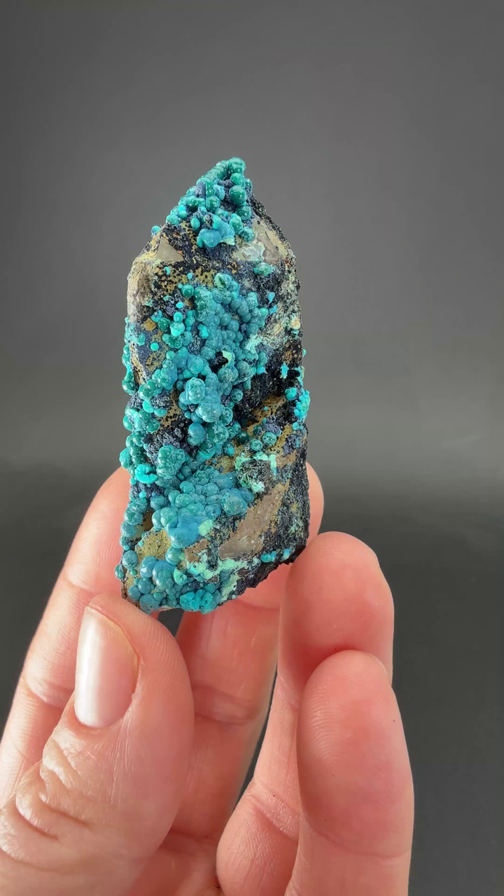 2" Quartz with Chrysocolla from Tentadora Mine DX1521