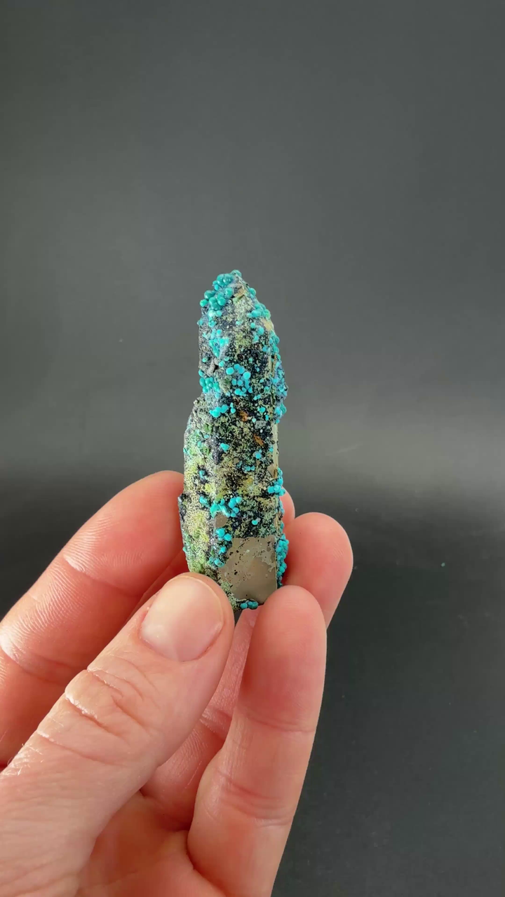 2.25" Quartz with Chrysocolla from Tentadora Mine DX1523