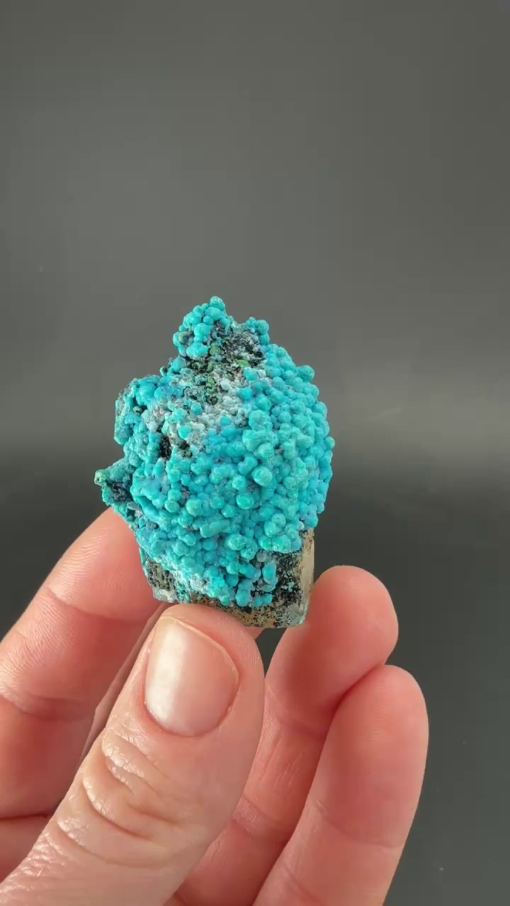 1.5" Quartz with Chrysocolla from Tentadora Mine DX1524