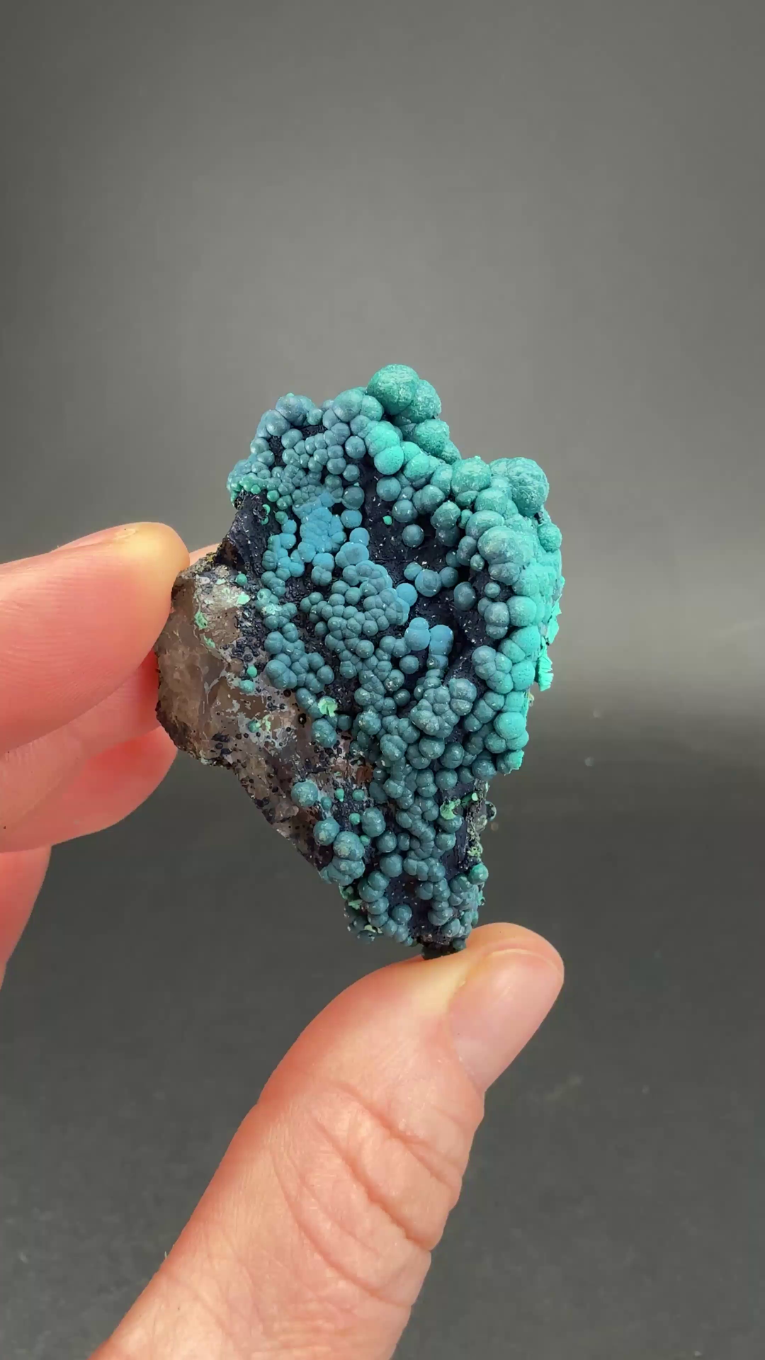 2" Quartz with Chrysocolla from Tentadora Mine DX1525