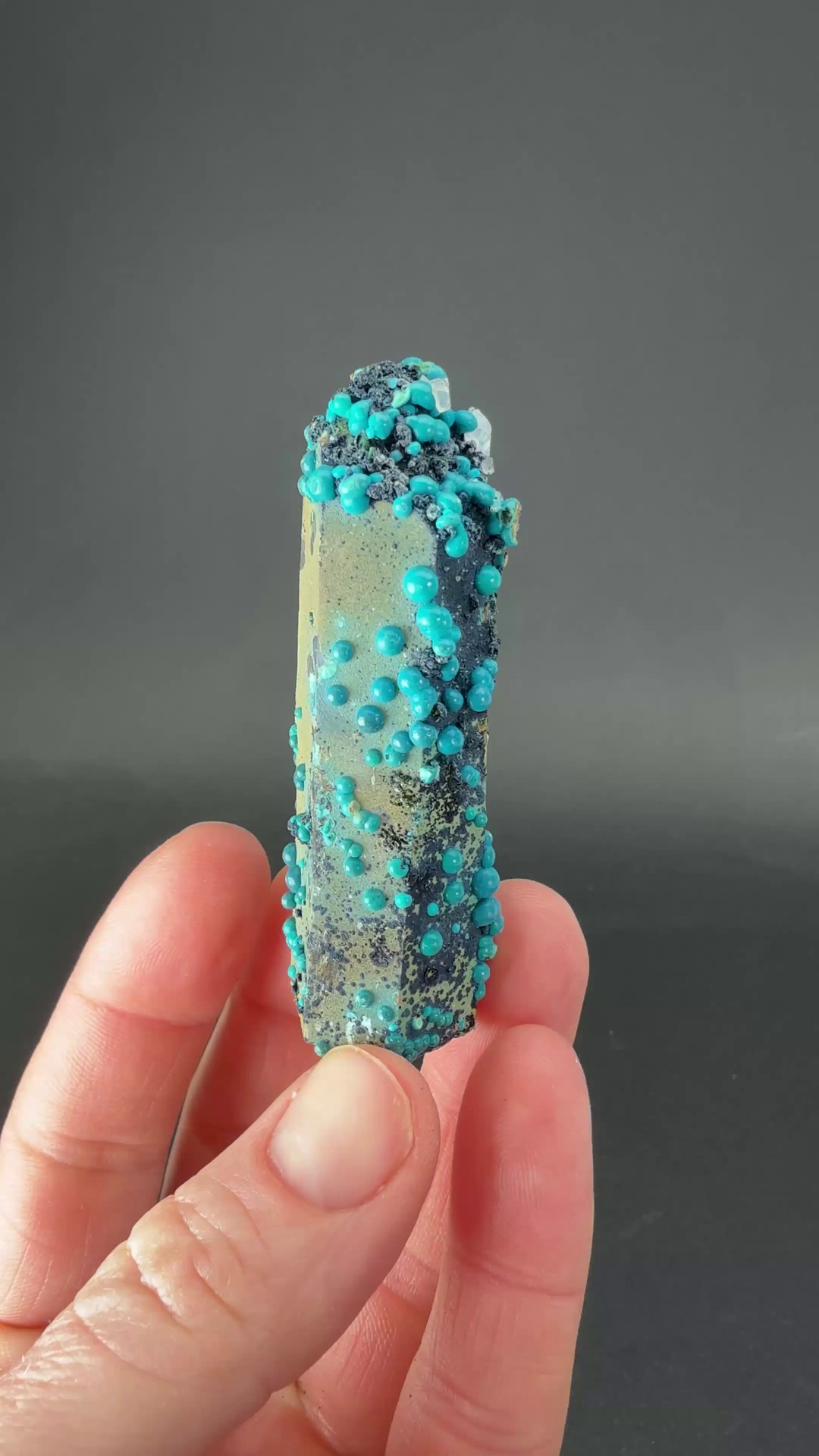 2.5" Quartz with Chrysocolla from Tentadora Mine DX1527