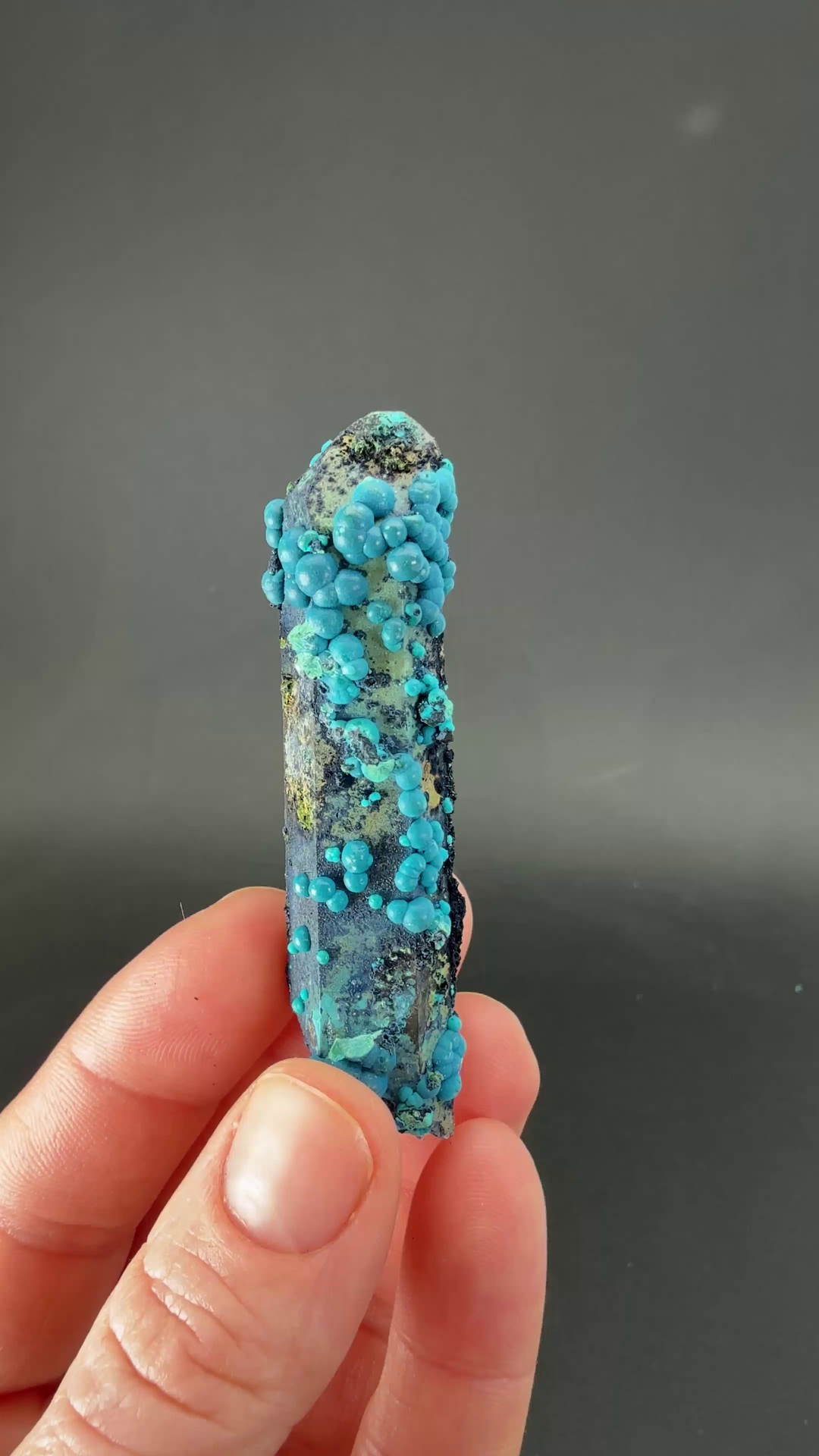 2.5" Quartz with Chrysocolla from Tentadora Mine DX1528