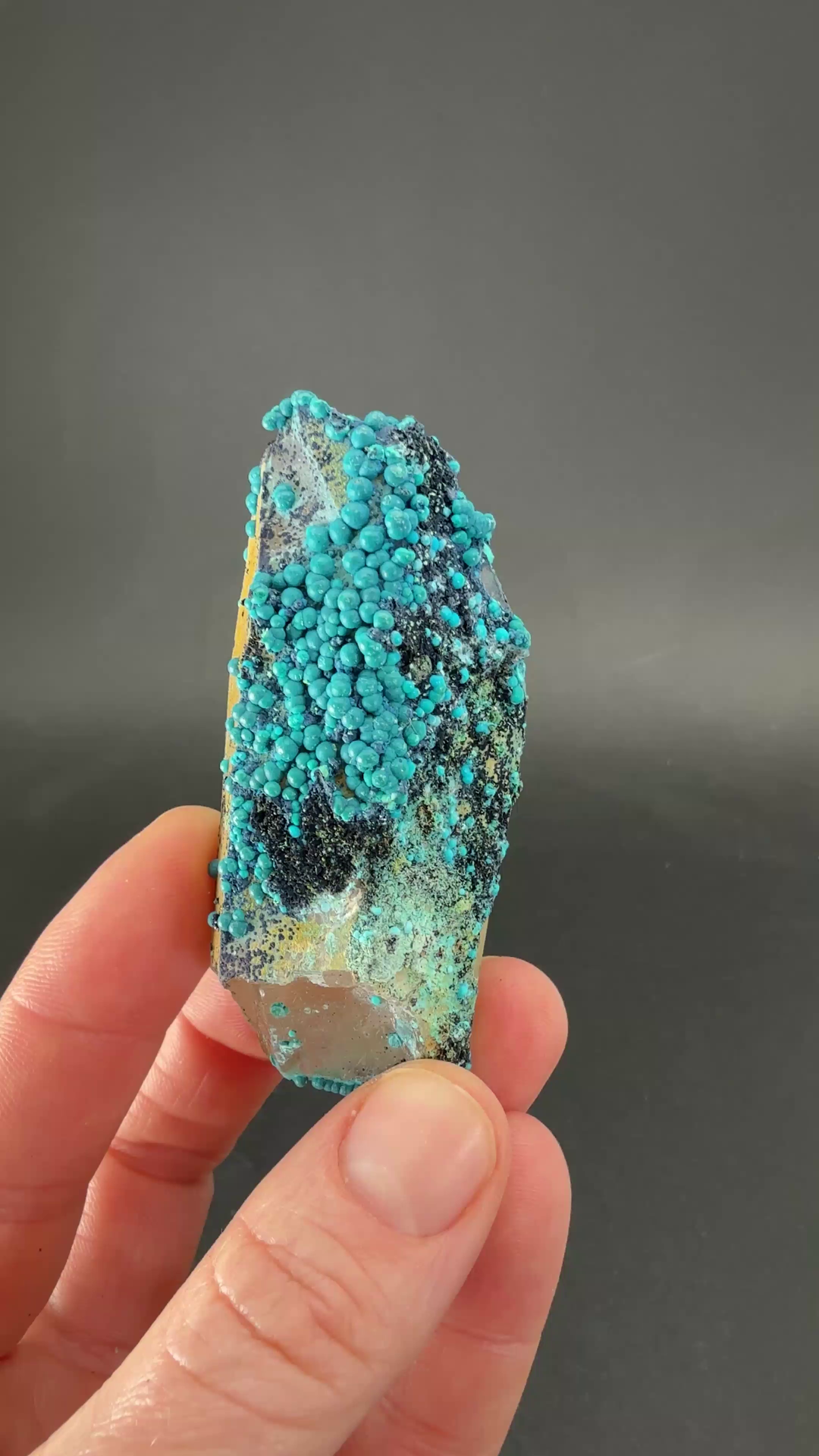 2.75" Quartz with Chrysocolla from Tentadora Mine DX1532