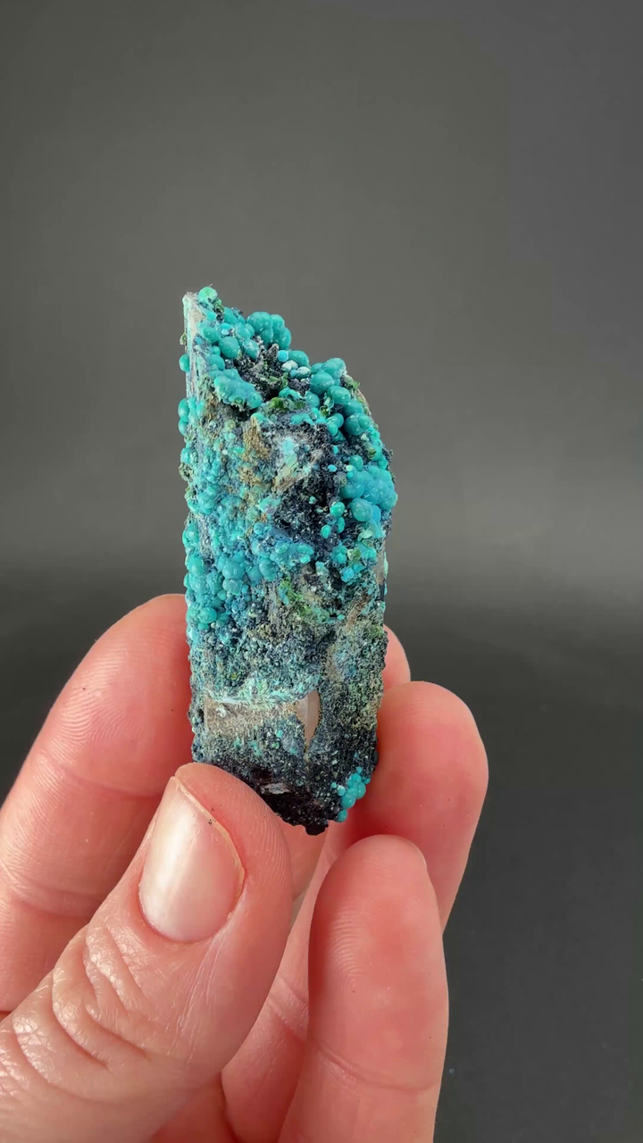 2" Quartz with Chrysocolla from Tentadora Mine DX1533