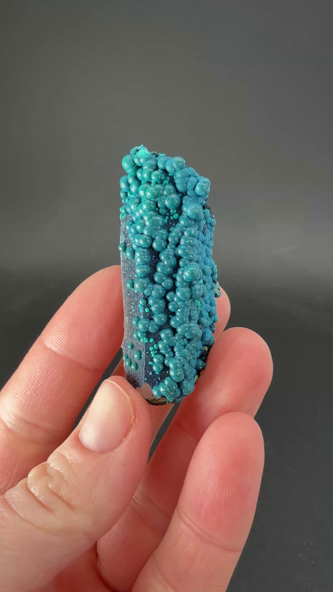 2" Quartz with Chrysocolla from Tentadora Mine DX1548