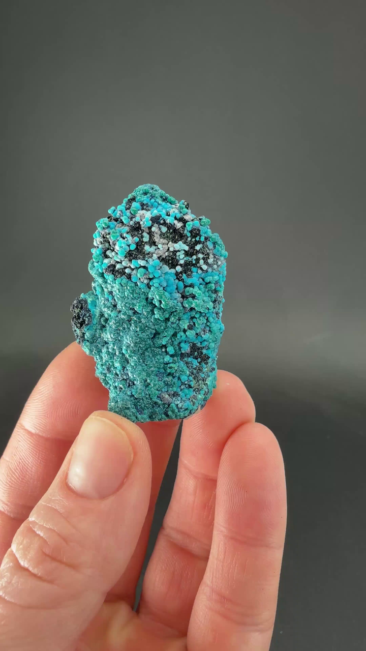 1.5" Quartz with Chrysocolla from Tentadora Mine DX1549