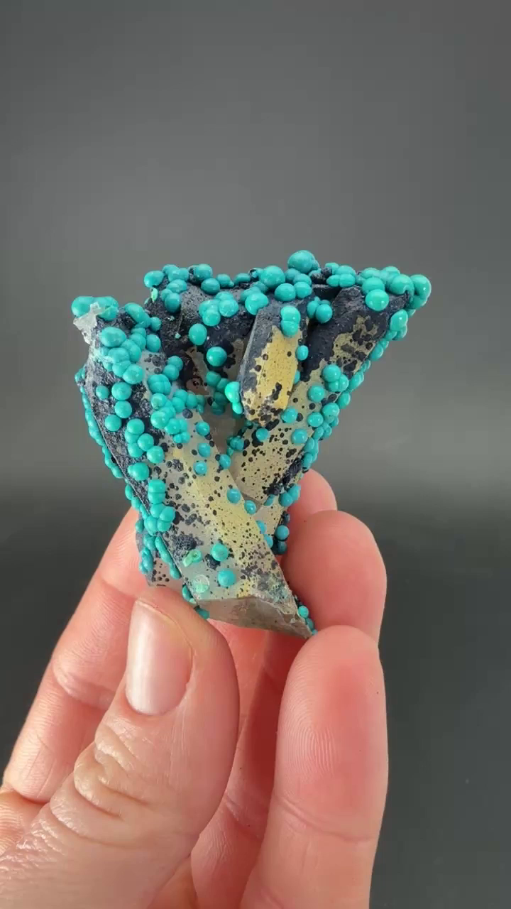 1.75" Quartz with Chrysocolla from Tentadora Mine DX1551
