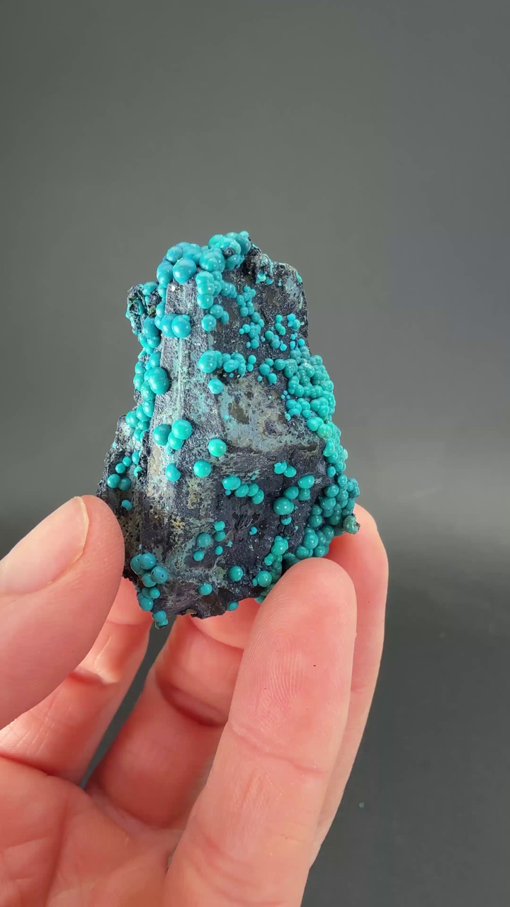 1.5" Quartz with Chrysocolla from Tentadora Mine DX1555