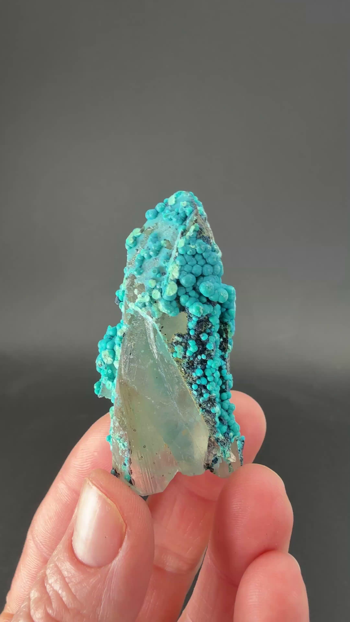 2" Quartz with Chrysocolla from Tentadora Mine DX1558