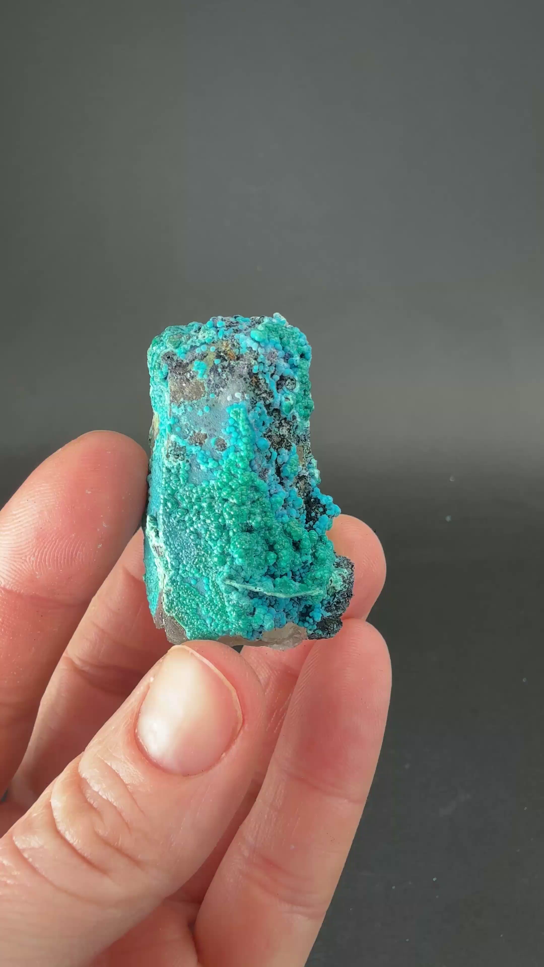 1.5" Quartz with Chrysocolla from Tentadora Mine DX1560