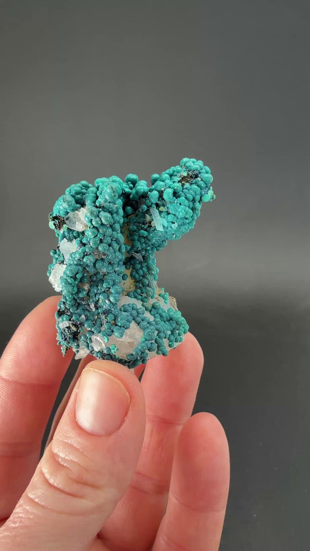 1.75" Quartz with Chrysocolla from Tentadora Mine DX1561