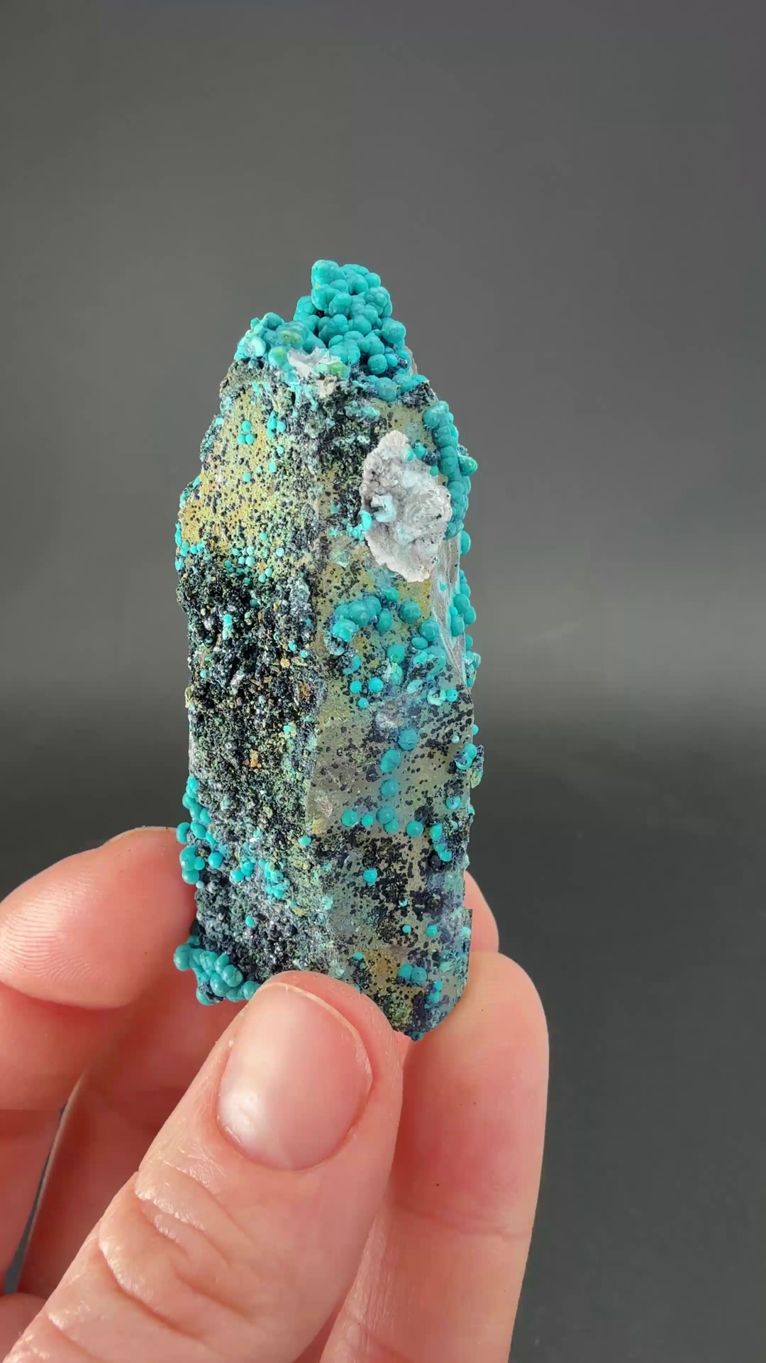 2.5" Quartz with Chrysocolla from Tentadora Mine DX1566