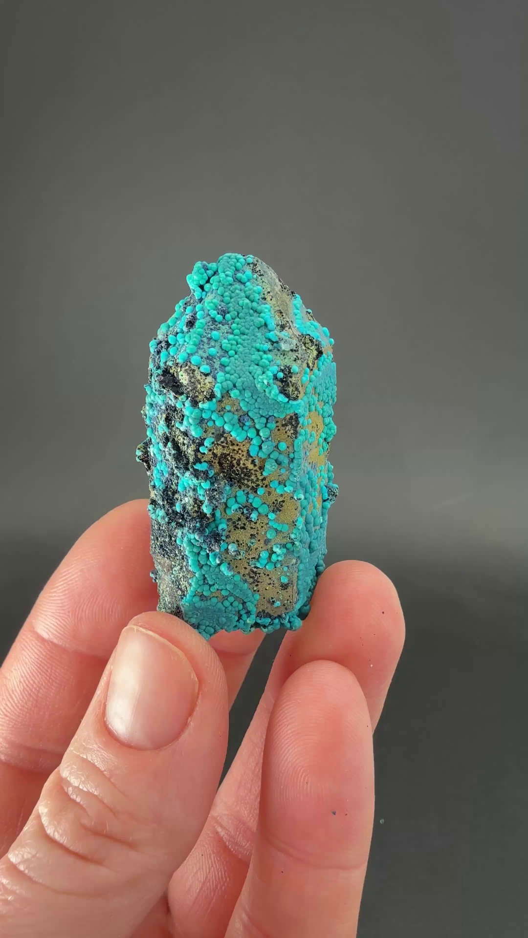 1.75" Quartz with Chrysocolla from Tentadora Mine DX1567