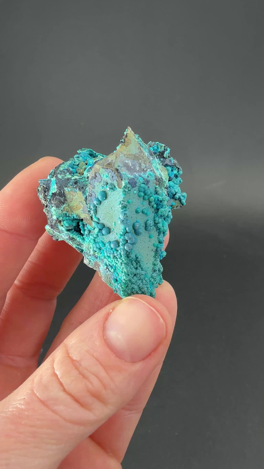1.75" Quartz with Chrysocolla from Tentadora Mine DX1568