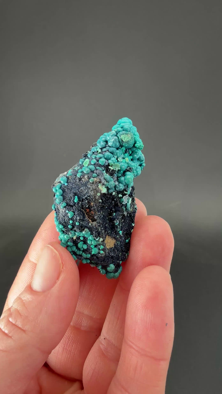 2" Quartz with Chrysocolla from Tentadora Mine DX1570