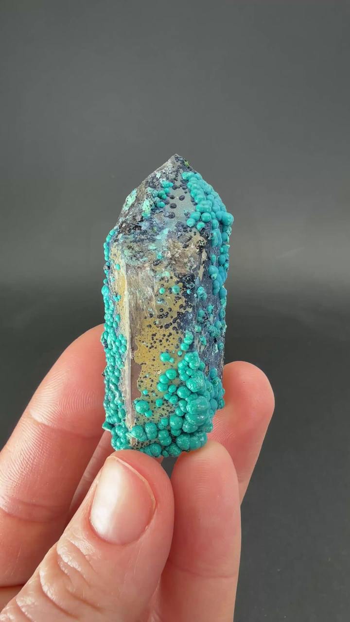 2" Quartz with Chrysocolla from Tentadora Mine DX1571