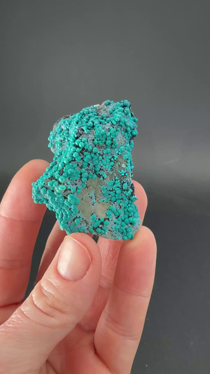 2" Quartz with Chrysocolla from Tentadora Mine DX1572